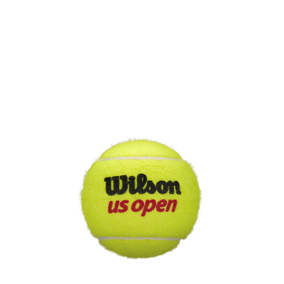 WILSON US OPEN XD TBALL CAN