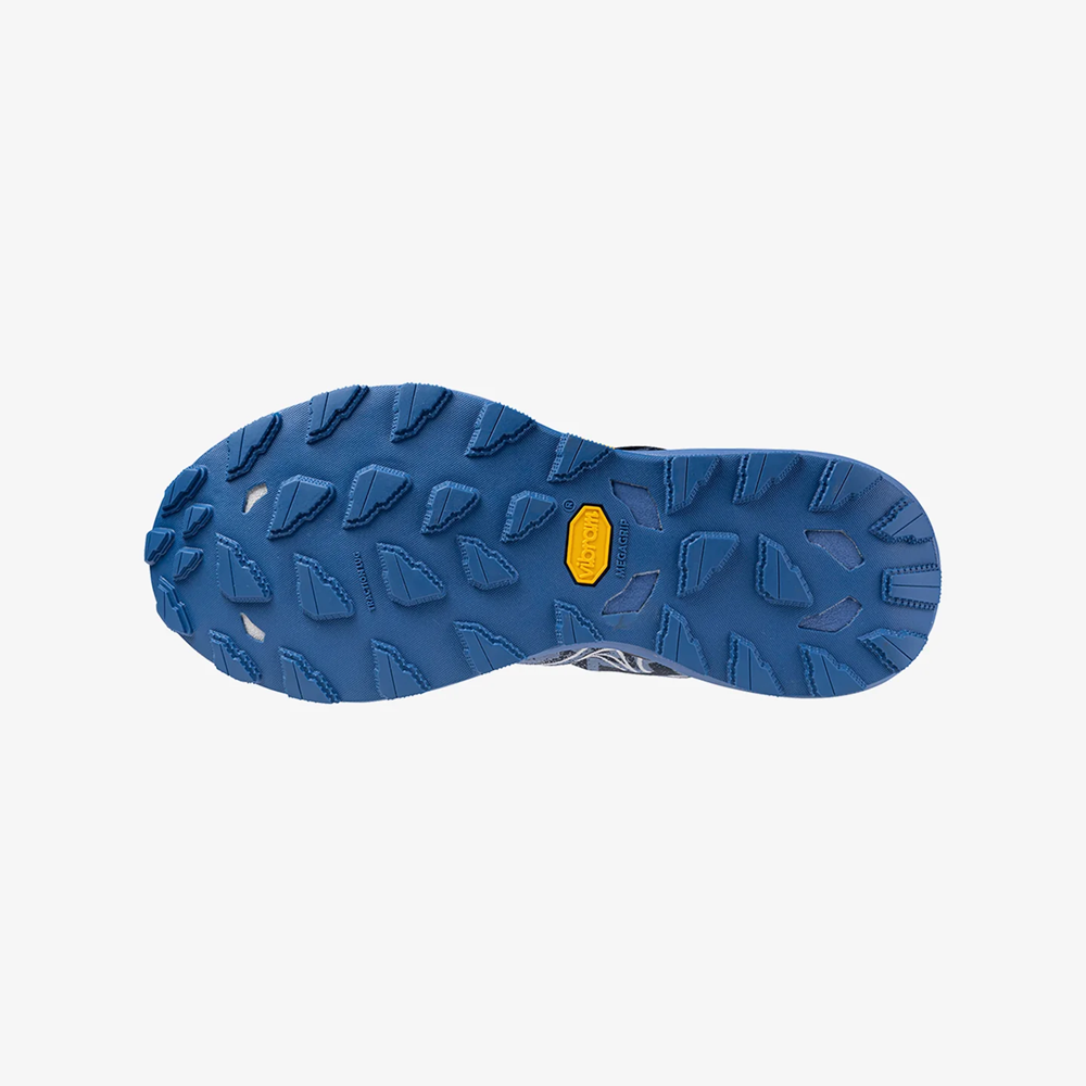 MIZUNO WMNS WAVE DAICHI 8