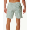 RIP CURL MENS SWC PLANTATION VOLLEY