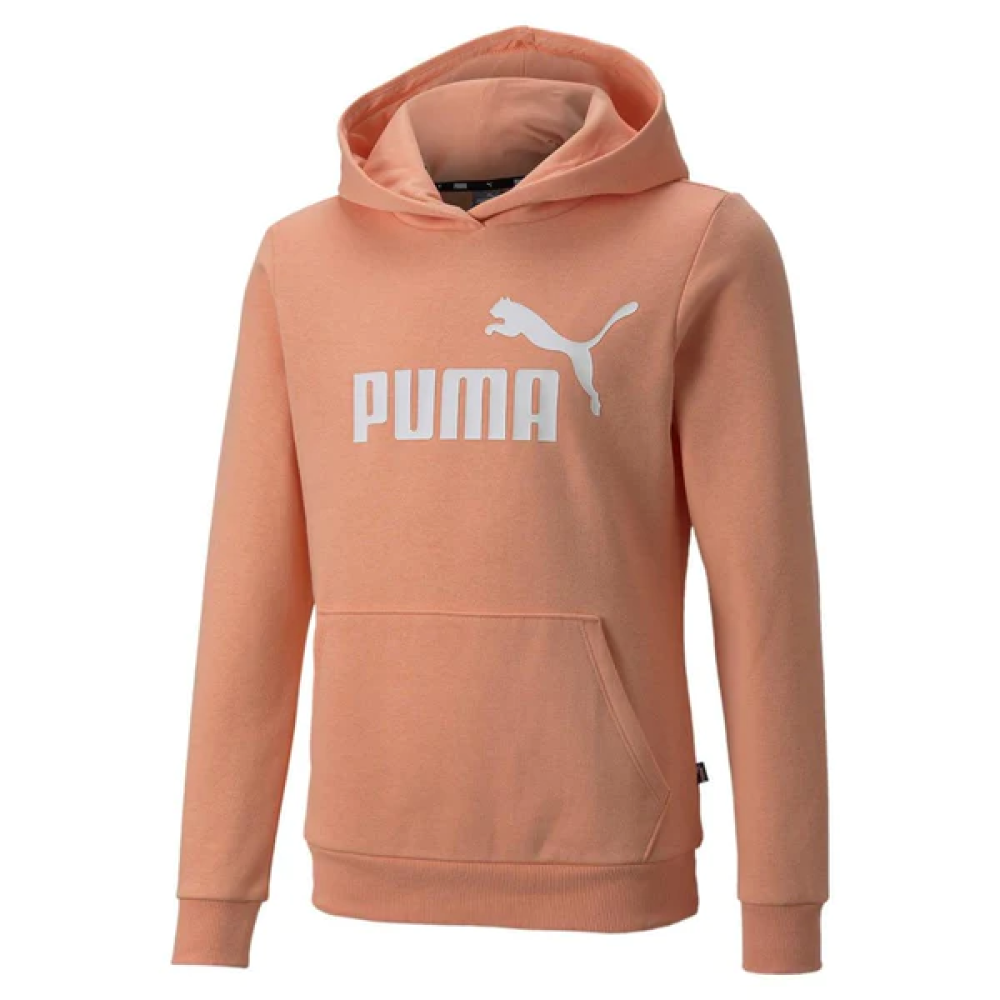 PUMA YTH ESSENTIAL HOODIE FL