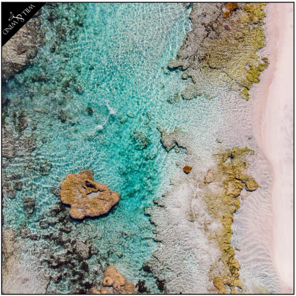 WILL & WIND KALBARRI DOUBLE TRAVEL TOWEL